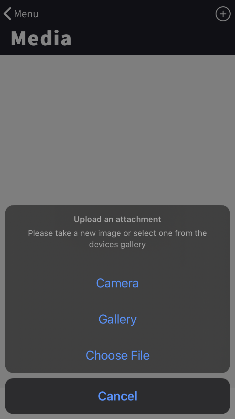 IMG_5715.PNG